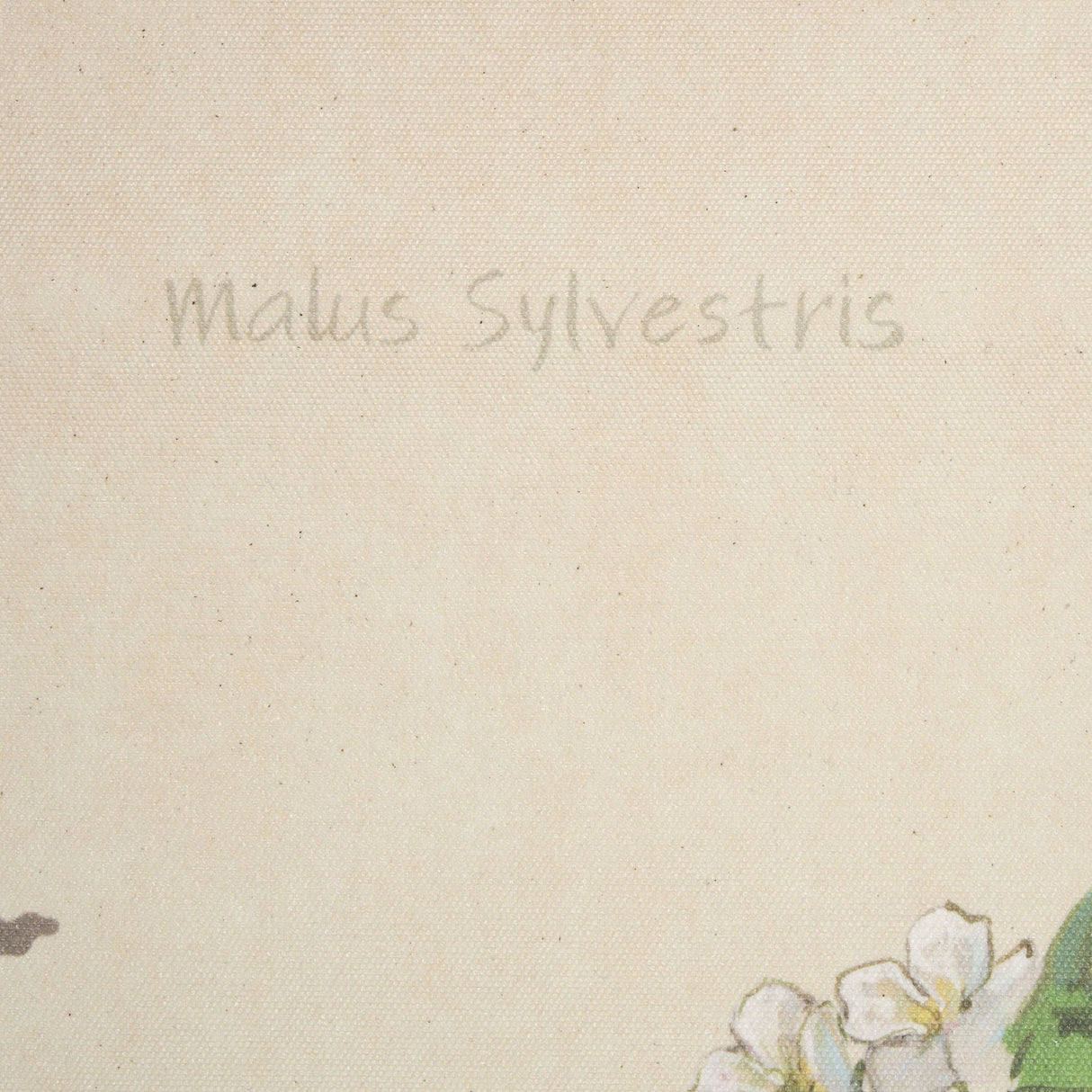 Botanical Study-Malus Sylvestris by Mercana Studio a Hand Embelished Textured Framed Art Print by Mercana at Eve Furniture