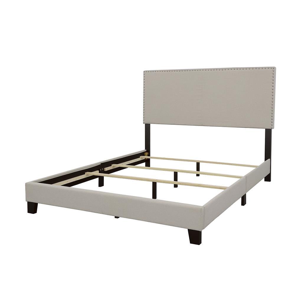Boyd Ivory Queen Upholstered Bed with Nailhead Trim by Coaster at Eve Furniture