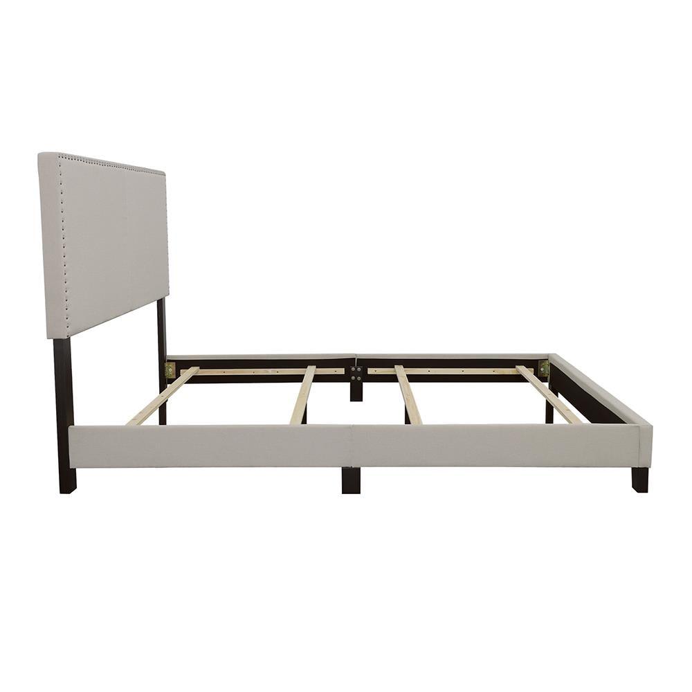 Boyd Ivory Queen Upholstered Bed with Nailhead Trim by Coaster at Eve Furniture