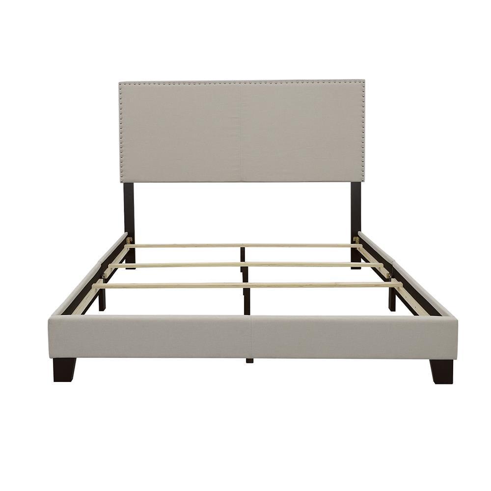 Boyd Ivory Queen Upholstered Bed with Nailhead Trim by Coaster at Eve Furniture