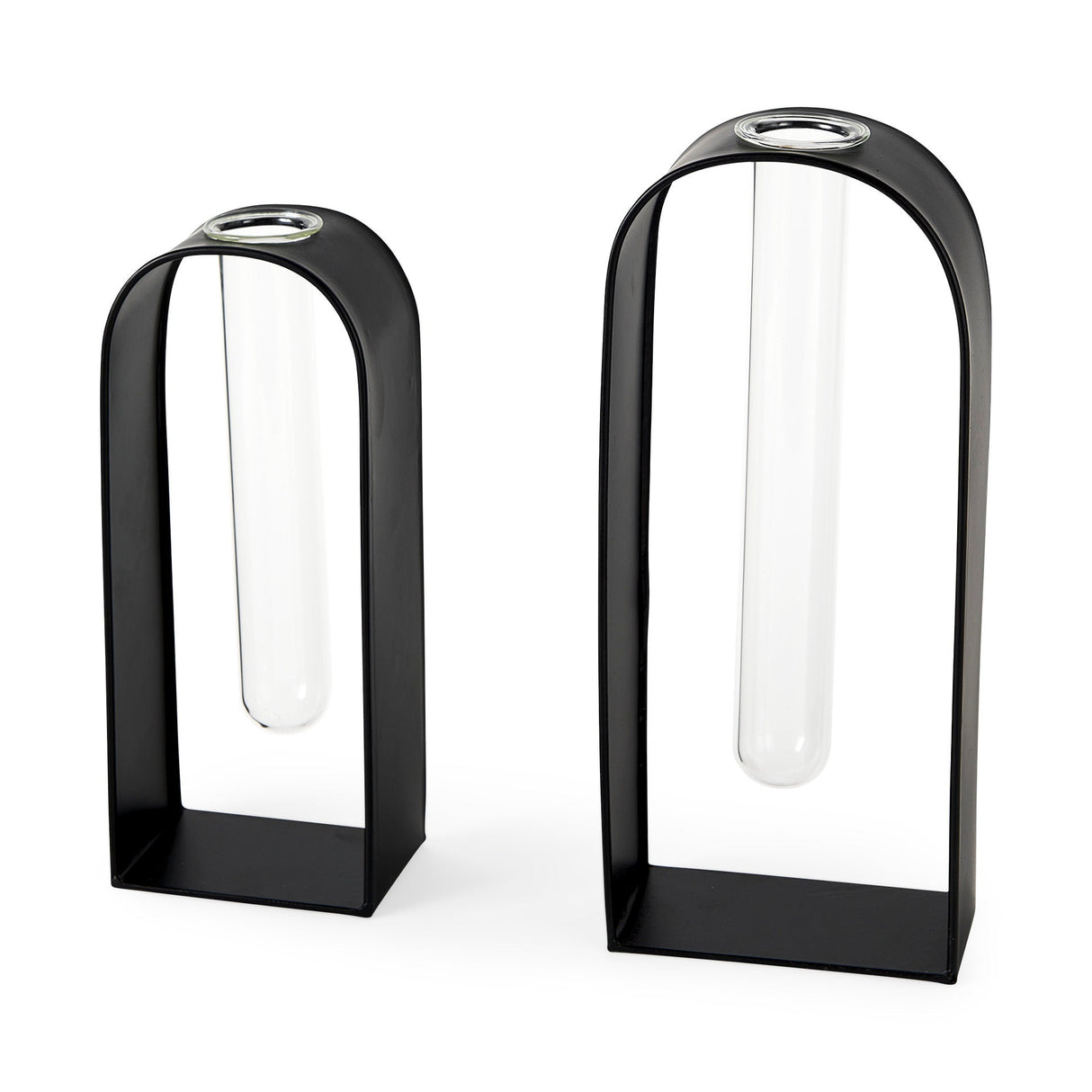 Boyer Black Metal W/Glass Set of Two Test Tube Decorative Objects by Mercana at Eve Furniture