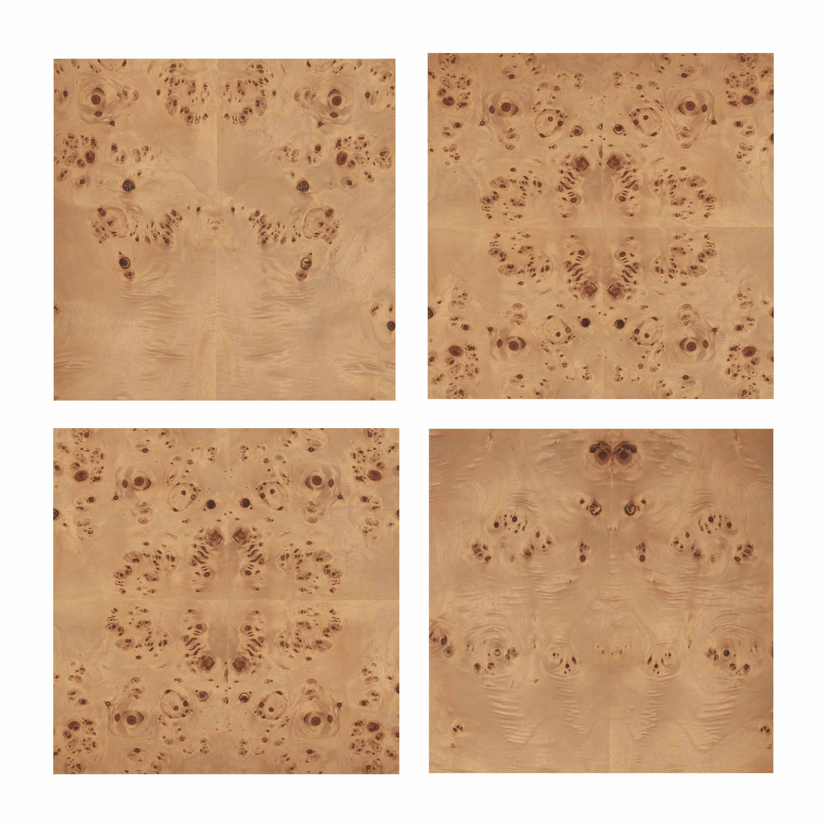 Brandyss 62" Burl 7-Drawer Dresser by TOV Furniture at Eve Furniture