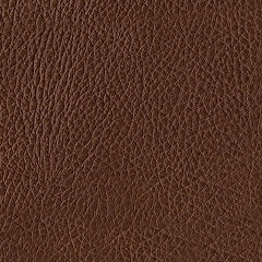 Brogliano Canyon Leather Loveseat by Ashley at Eve Furniture