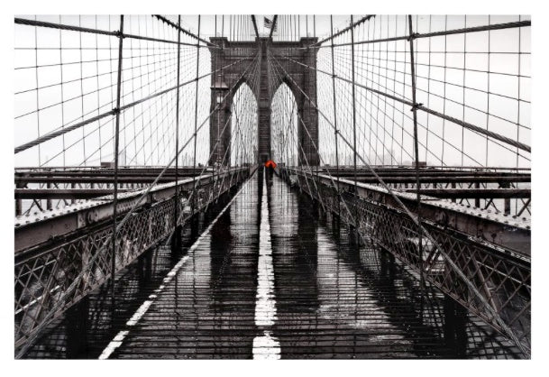 Brooklyn Bridge Wall Decor by Moe's Home at Eve Furniture