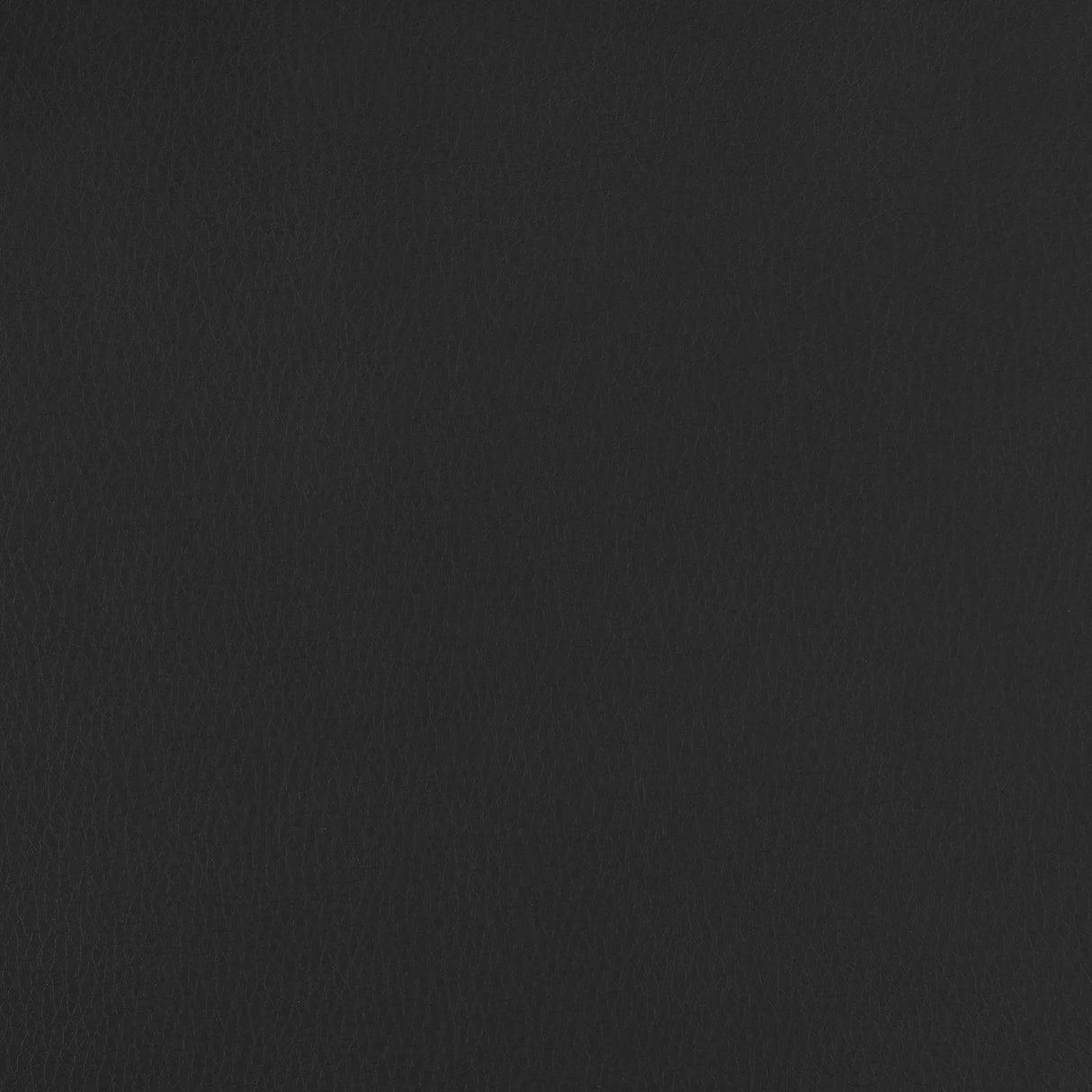 Bruce Black and Silver Adjustable Height Office Chair by Coaster at Eve Furniture