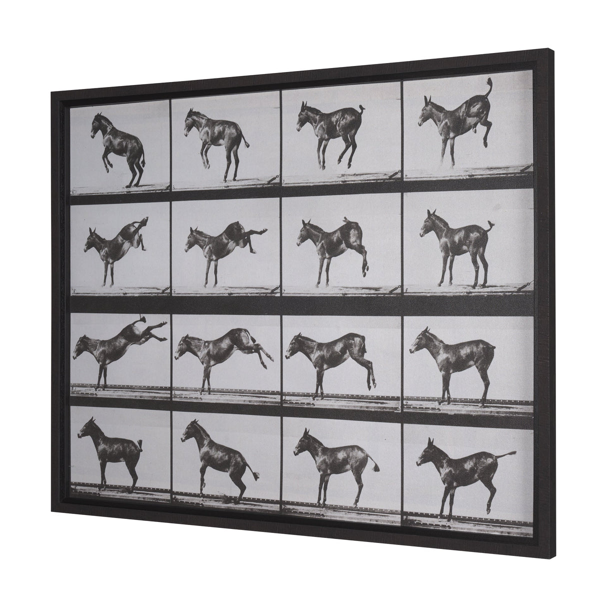 Bucking and Kicking by Eadweard Muybridge Hand Embellished Framed Art Print Matted under Glass by Mercana at Eve Furniture