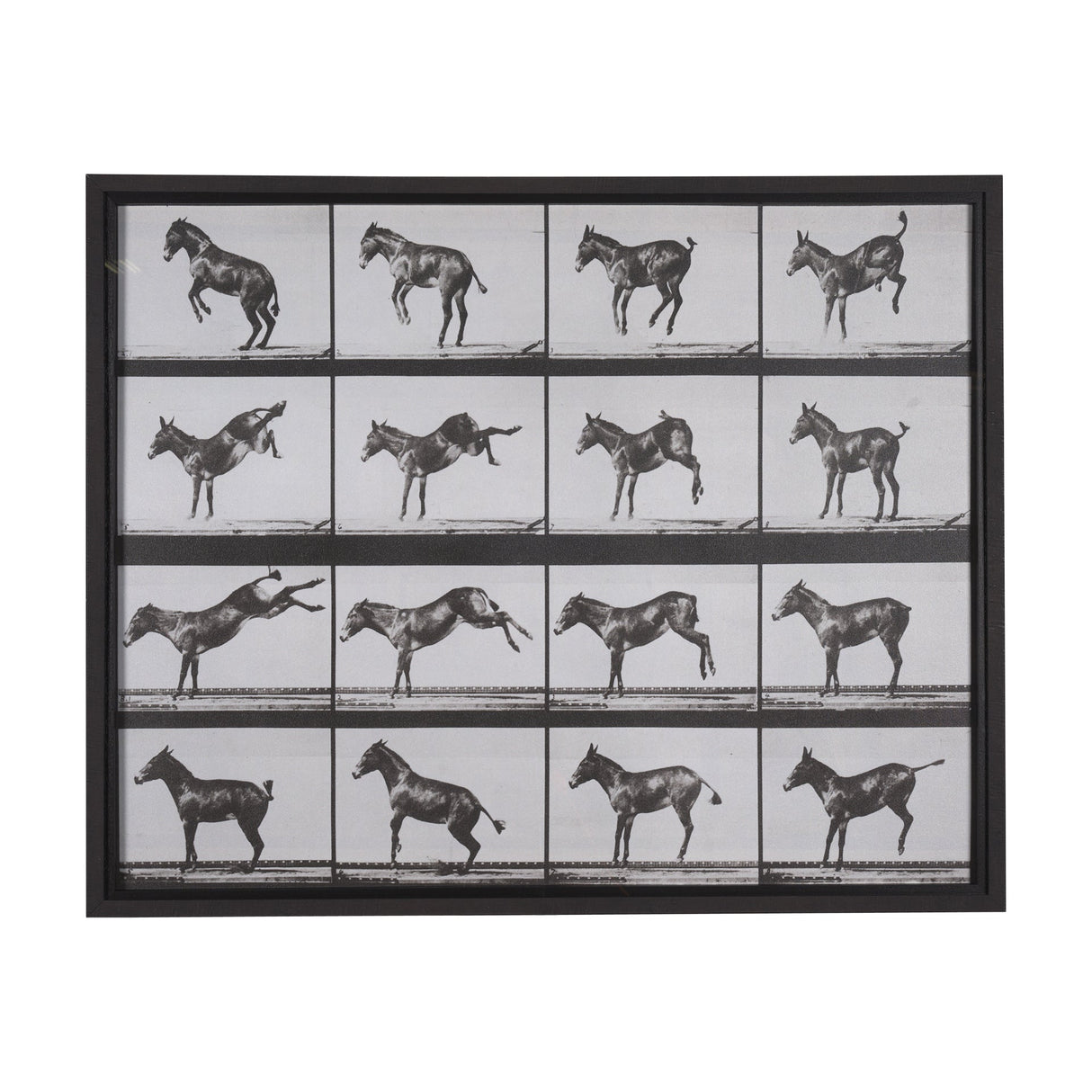 Bucking and Kicking by Eadweard Muybridge Hand Embellished Framed Art Print Matted under Glass by Mercana at Eve Furniture