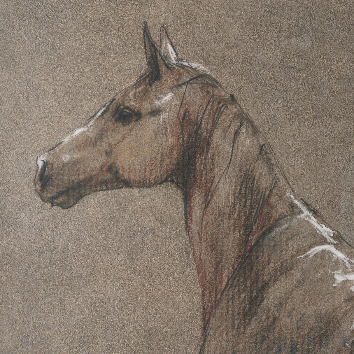 Buckskin Blanket by Mercana Studio a Hand Embellished Textured Framed Art Print by Mercana at Eve Furniture
