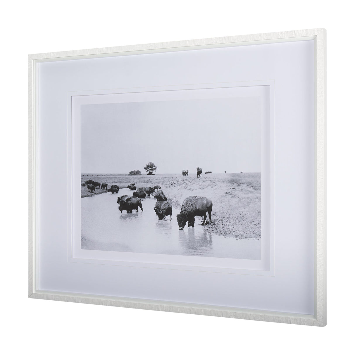 Buffalo Brook by Mercana Studio a Hand Embellished Textured Framed Art Photograph Matted under Glass by Mercana at Eve Furniture