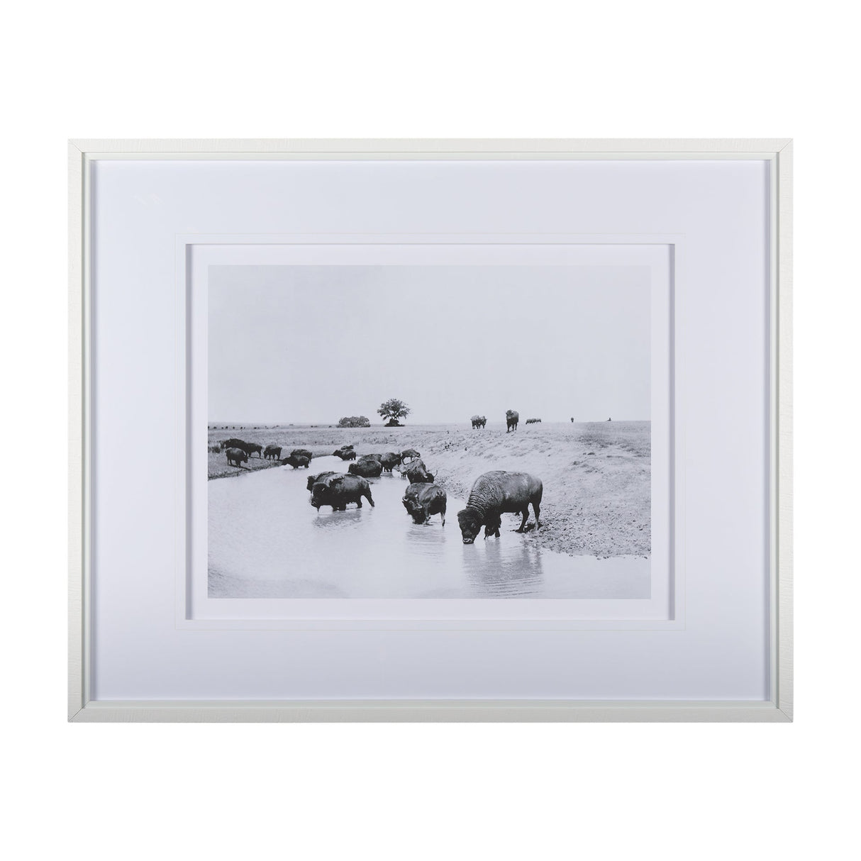 Buffalo Brook by Mercana Studio a Hand Embellished Textured Framed Art Photograph Matted under Glass by Mercana at Eve Furniture