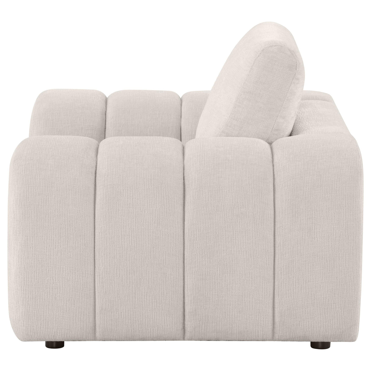 Burnett Ivory Chenille Upholstered Accent Chair by Coaster at Eve Furniture