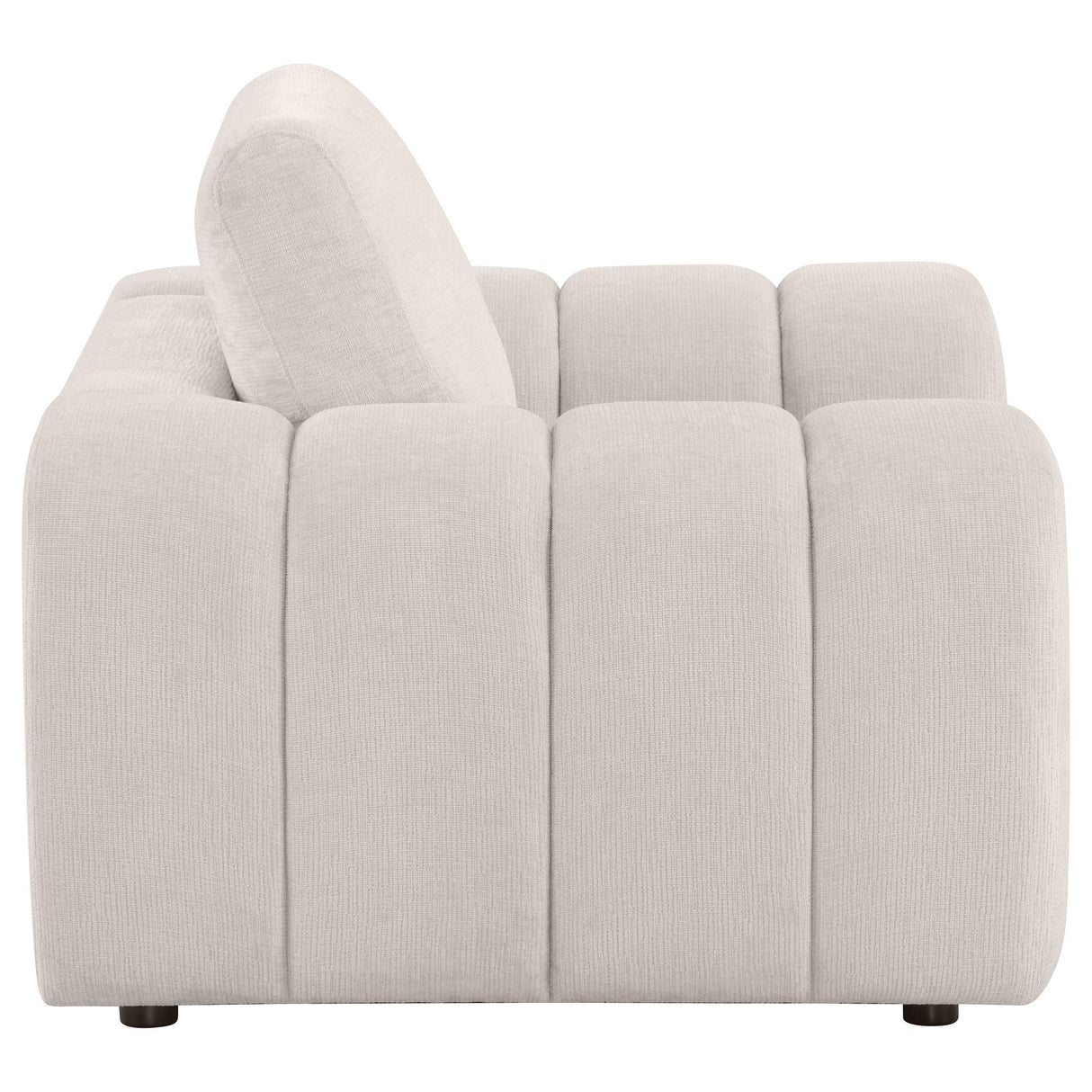 Burnett Ivory Chenille Upholstered Accent Chair by Coaster at Eve Furniture