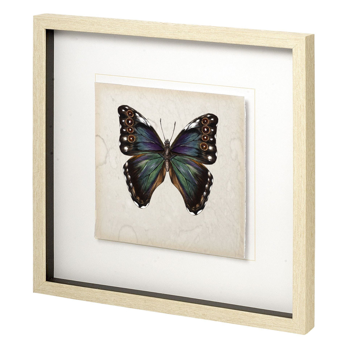 Butterfly Study III by Melissa Wang a Hand Embellished Textured Framed Art Print Matted under Glass by Mercana at Eve Furniture