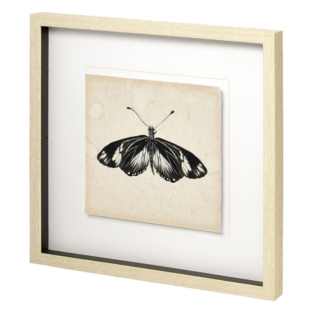 Butterfly Study VI by Melissa Wang a Hand Embellished Textured Framed Art Print Matted under Glass by Mercana at Eve Furniture