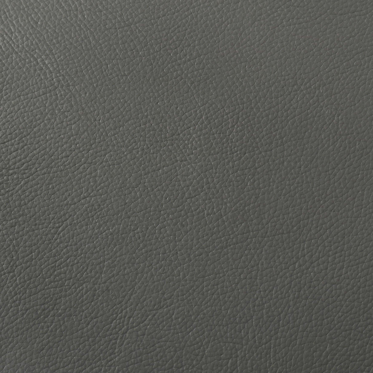 Buxton Graphite Top Grain Leather Upholstered Sofa by Coaster at Eve Furniture