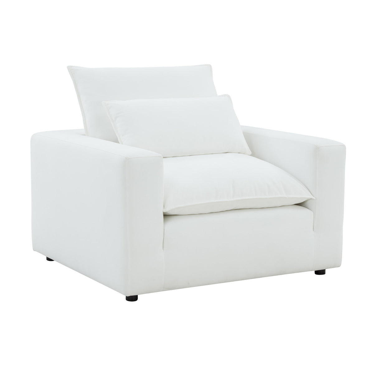 Cali Performance Fabric Armchair by TOV Furniture at Eve Furniture