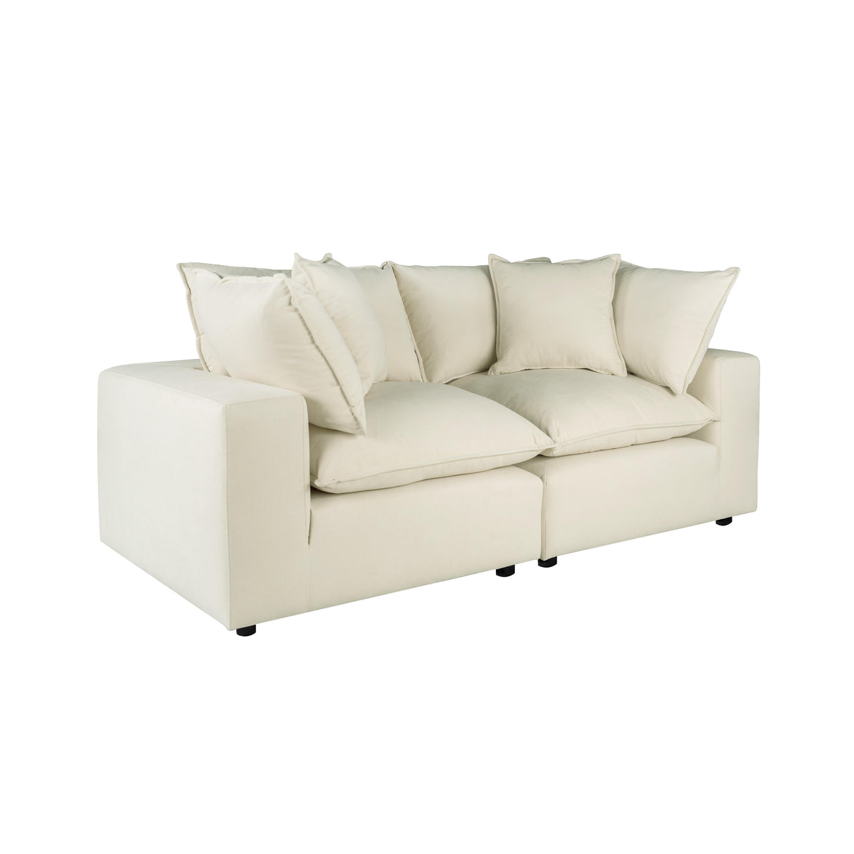 Cali Performance Fabric Modular Loveseat by TOV Furniture at Eve Furniture