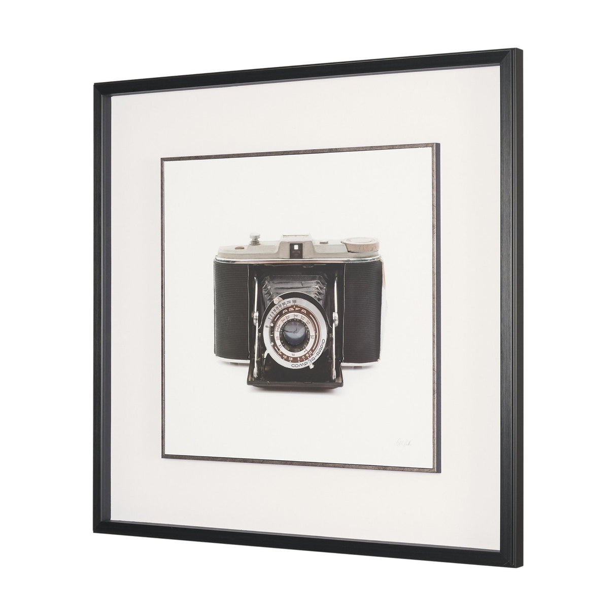 Camera by Deborah Revell Hand Embelished Framed Art Print Matted under Glass by Mercana at Eve Furniture