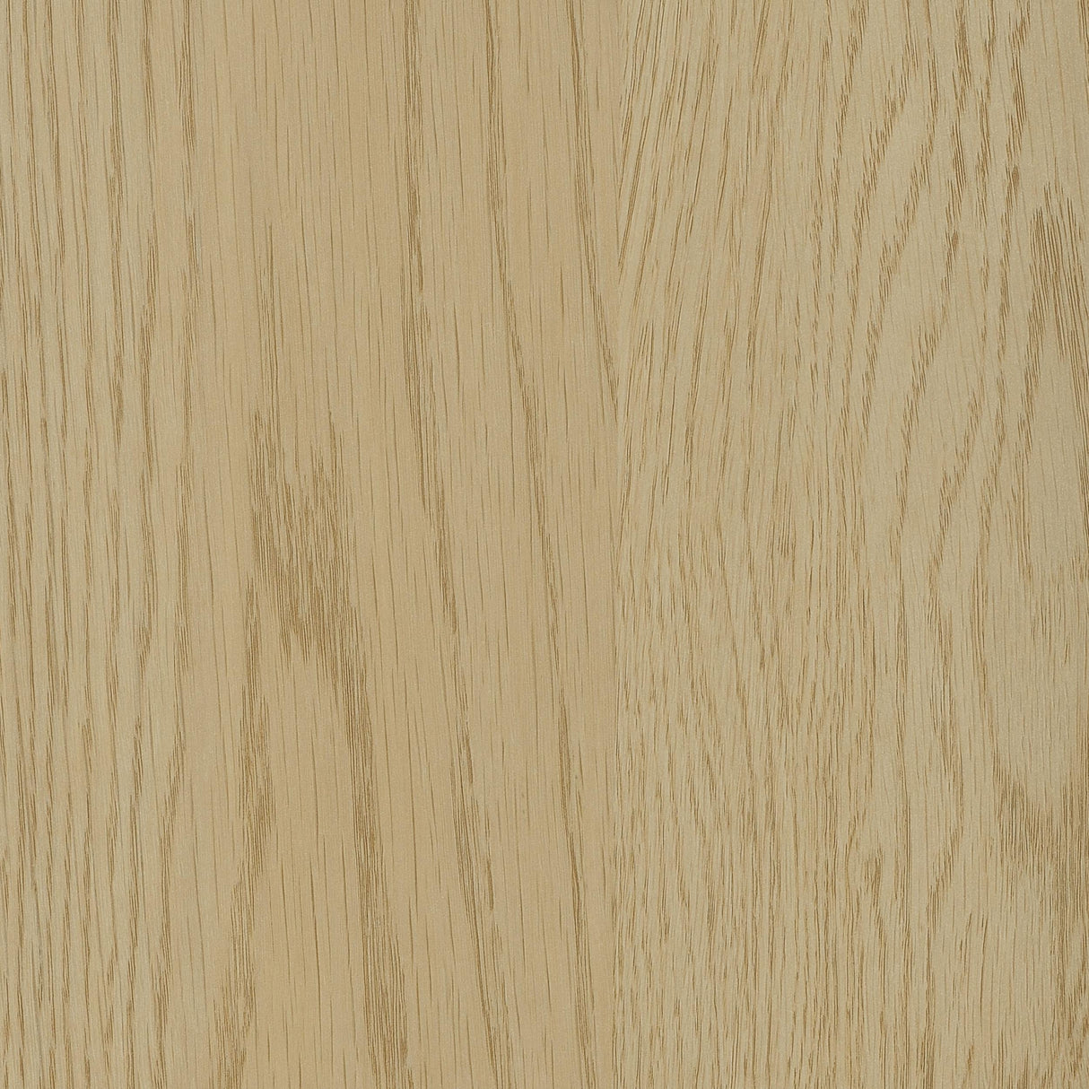 Canoga Light Oak Engineered Wood Lift Top Coffee Table by Coaster at Eve Furniture