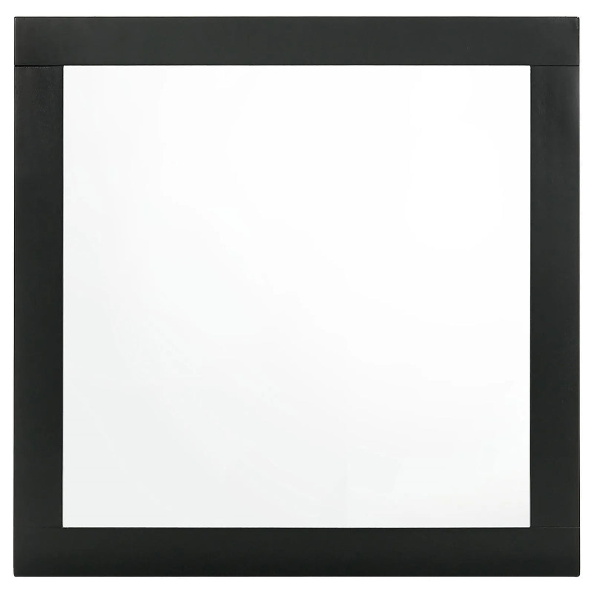 Caraway Black Dresser Mirror by Coaster at Eve Furniture