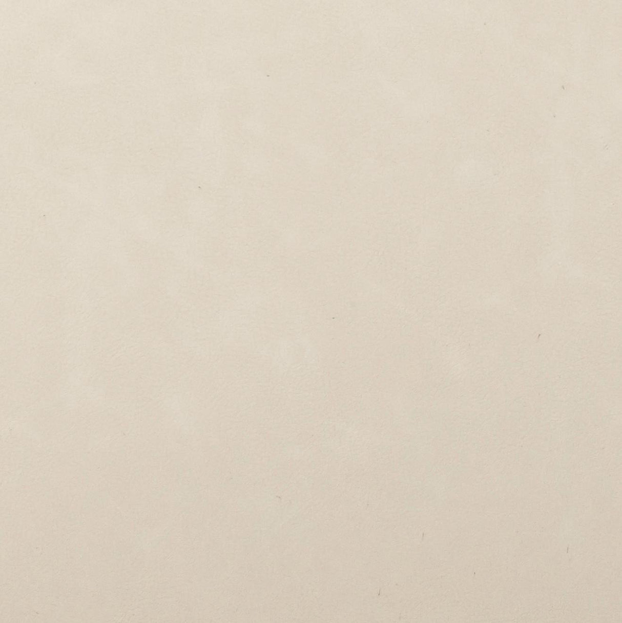 Carnation Cream Performance Vegan Leather Dining Chair by TOV Furniture at Eve Furniture