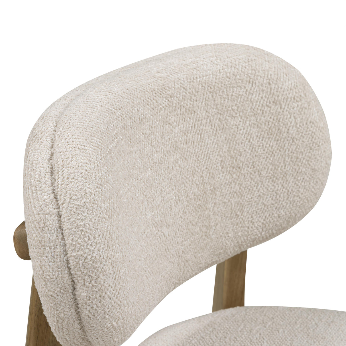 Carnation Performance Fabric Dining Chair by TOV Furniture at Eve Furniture