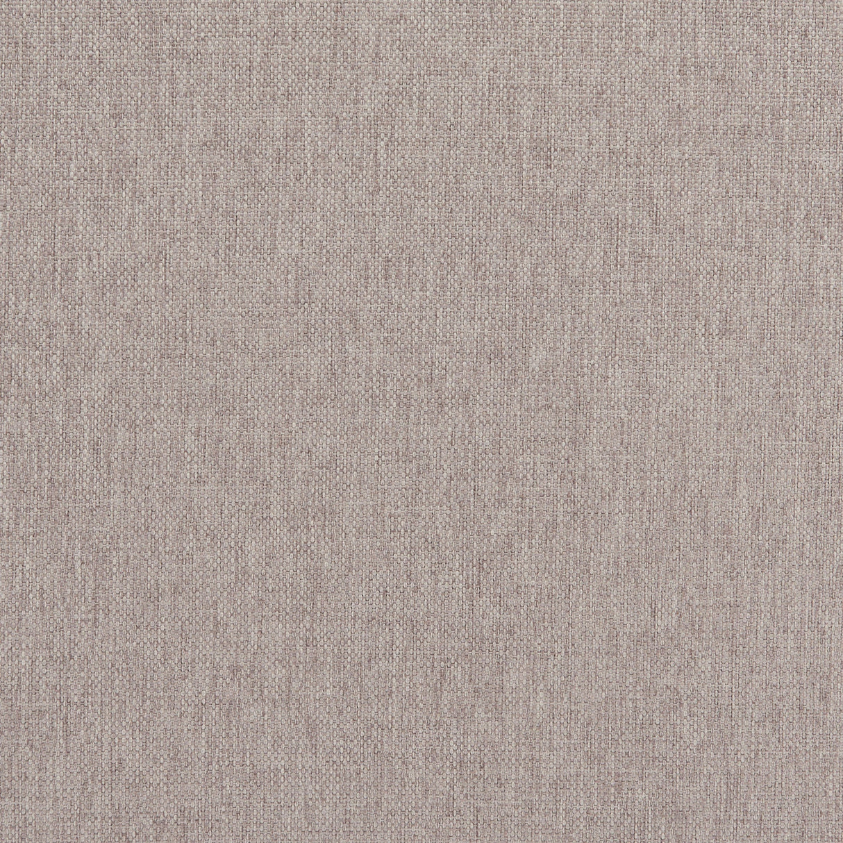 Carter Gray Accent Chair by Zuomod at Eve Furniture