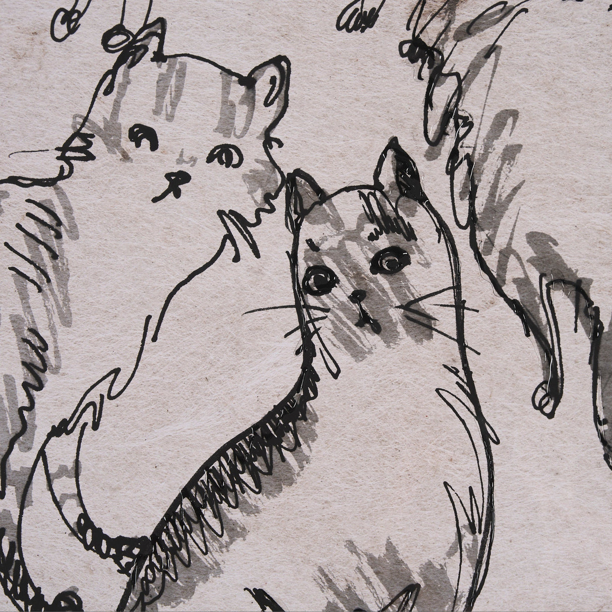 Cat Sketch by Mercana Studio a Hand Embellished Framed Art Print Matted under Glass by Mercana at Eve Furniture