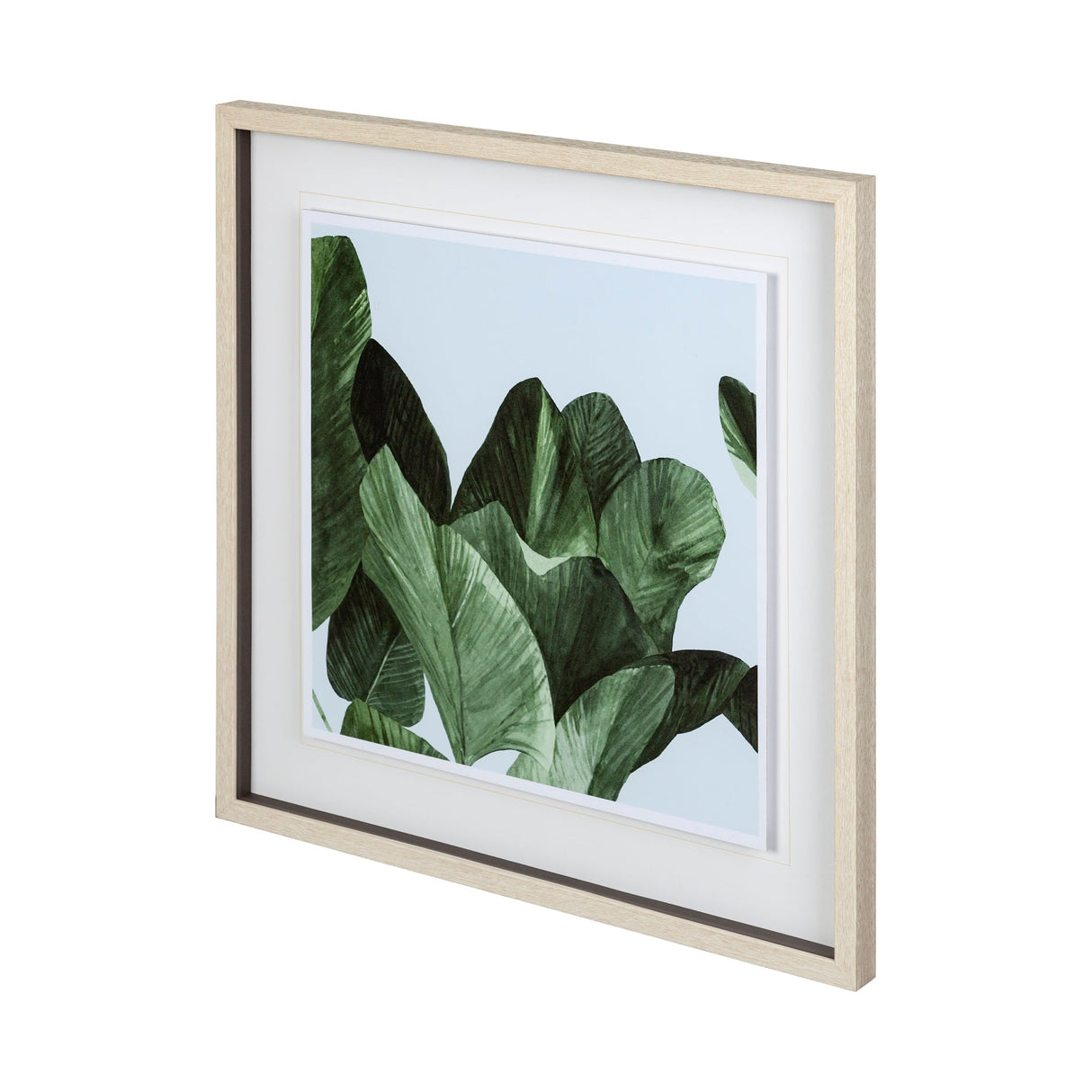 Celadon Palms I by Emma Scarvey a Framed Art Print Matted under Glass by Mercana at Eve Furniture