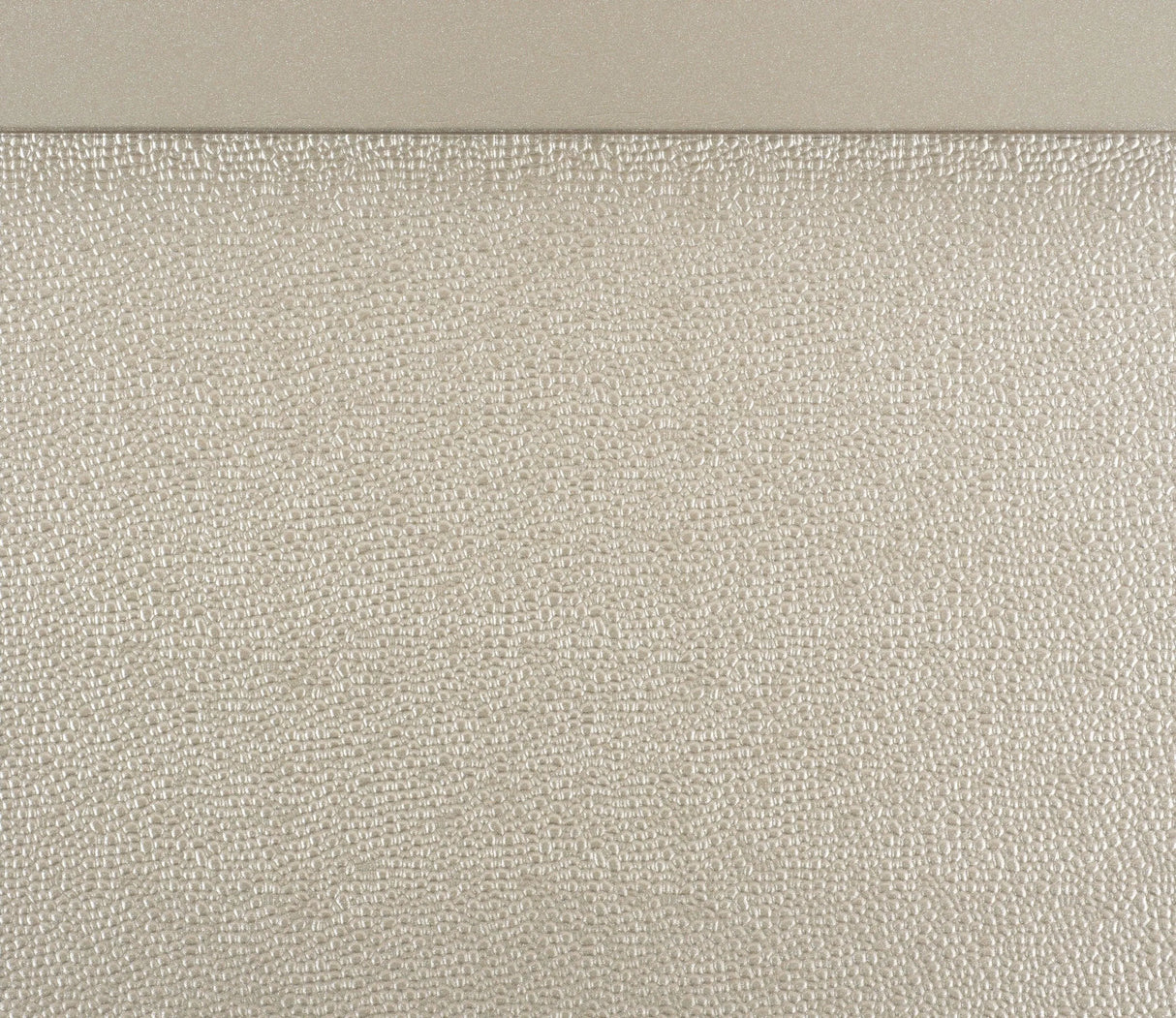 Celandine Silver Queen Upholstered Panel Bed by Homelegance at Eve Furniture