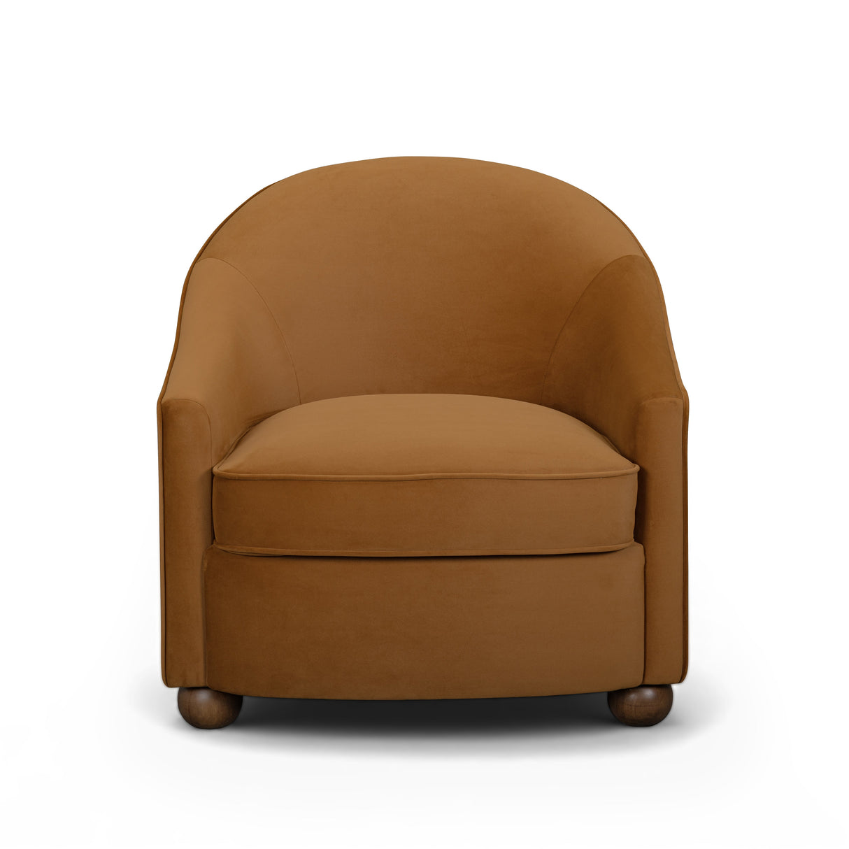 Cettie Performance Velvet Accent Chair by TOV Furniture at Eve Furniture