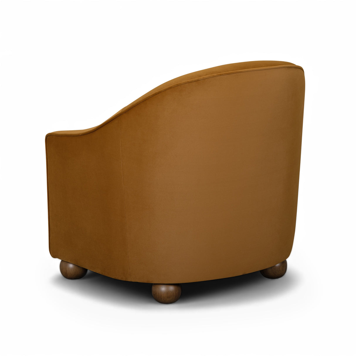 Cettie Performance Velvet Accent Chair by TOV Furniture at Eve Furniture