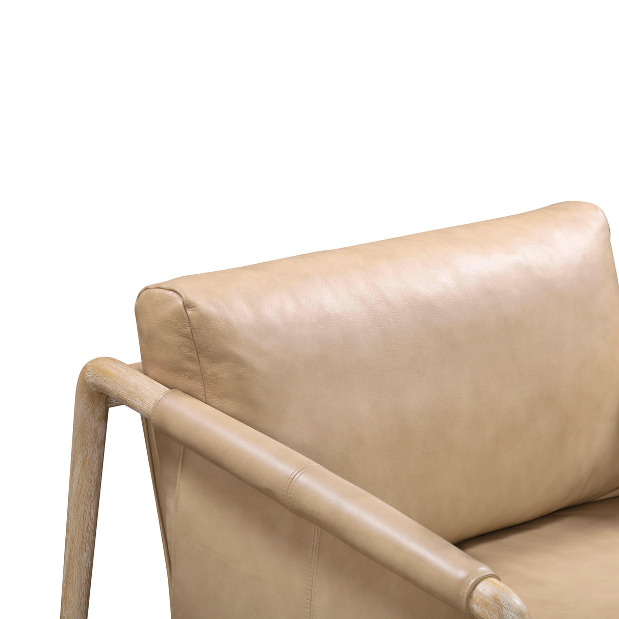 Chakka Tan Genuine Leather Accent Chair by TOV Furniture at Eve Furniture