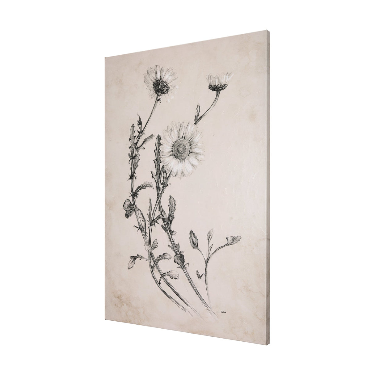 Chamomile Drawing I by Mercana Studio a Hand Embellished Textured Canvas by Mercana at Eve Furniture