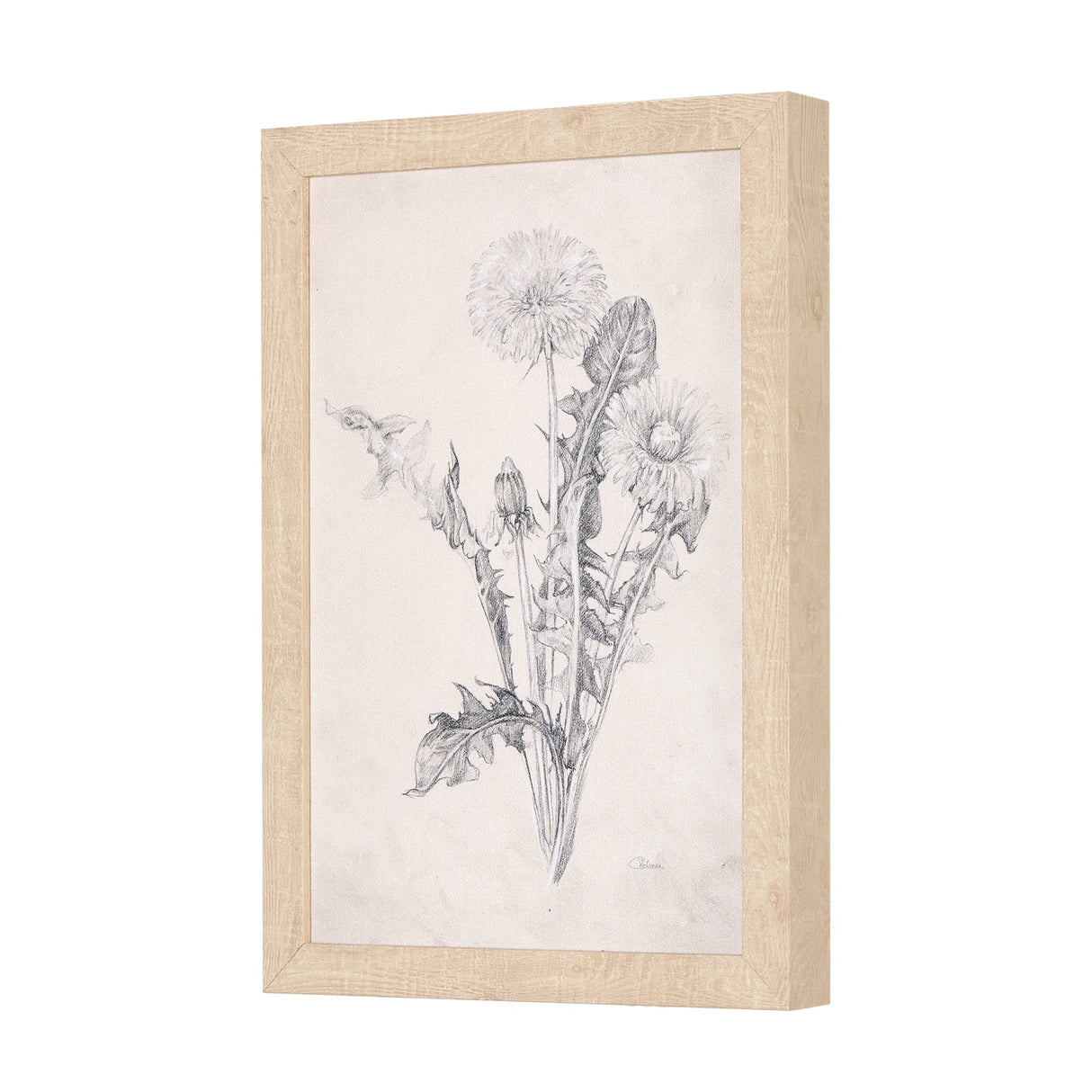 Chamomile Drawing I by Mercana Studio a Hand Embellished Textured Framed Art Print by Mercana at Eve Furniture
