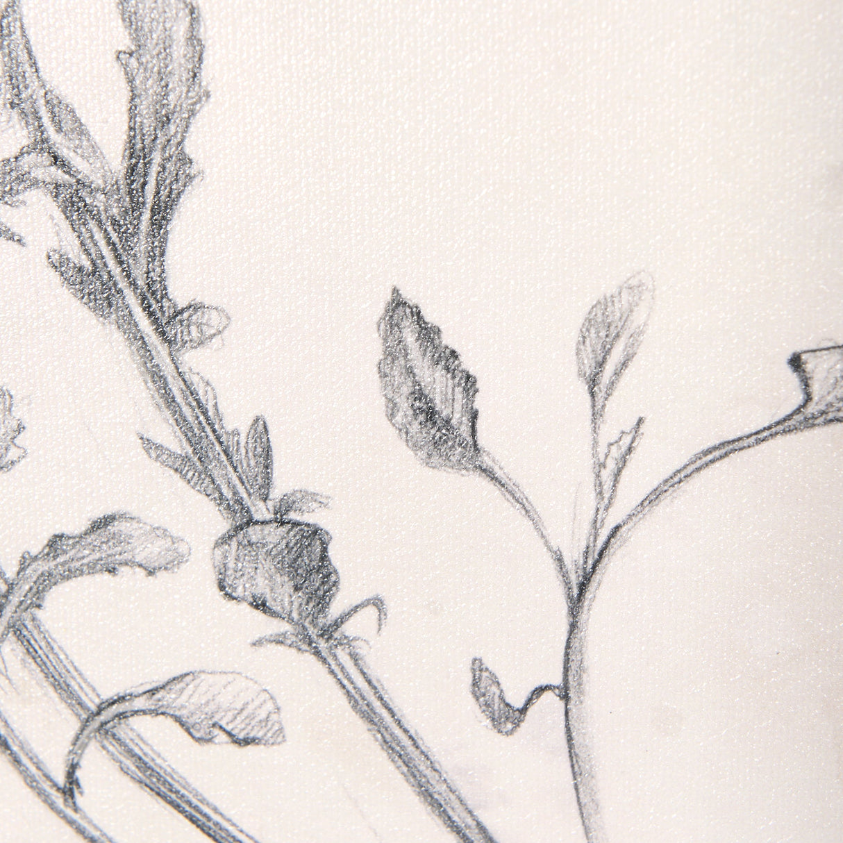 Chamomile Drawing I by Mercana Studio a Hand Embellished Textured Framed Art Print by Mercana at Eve Furniture