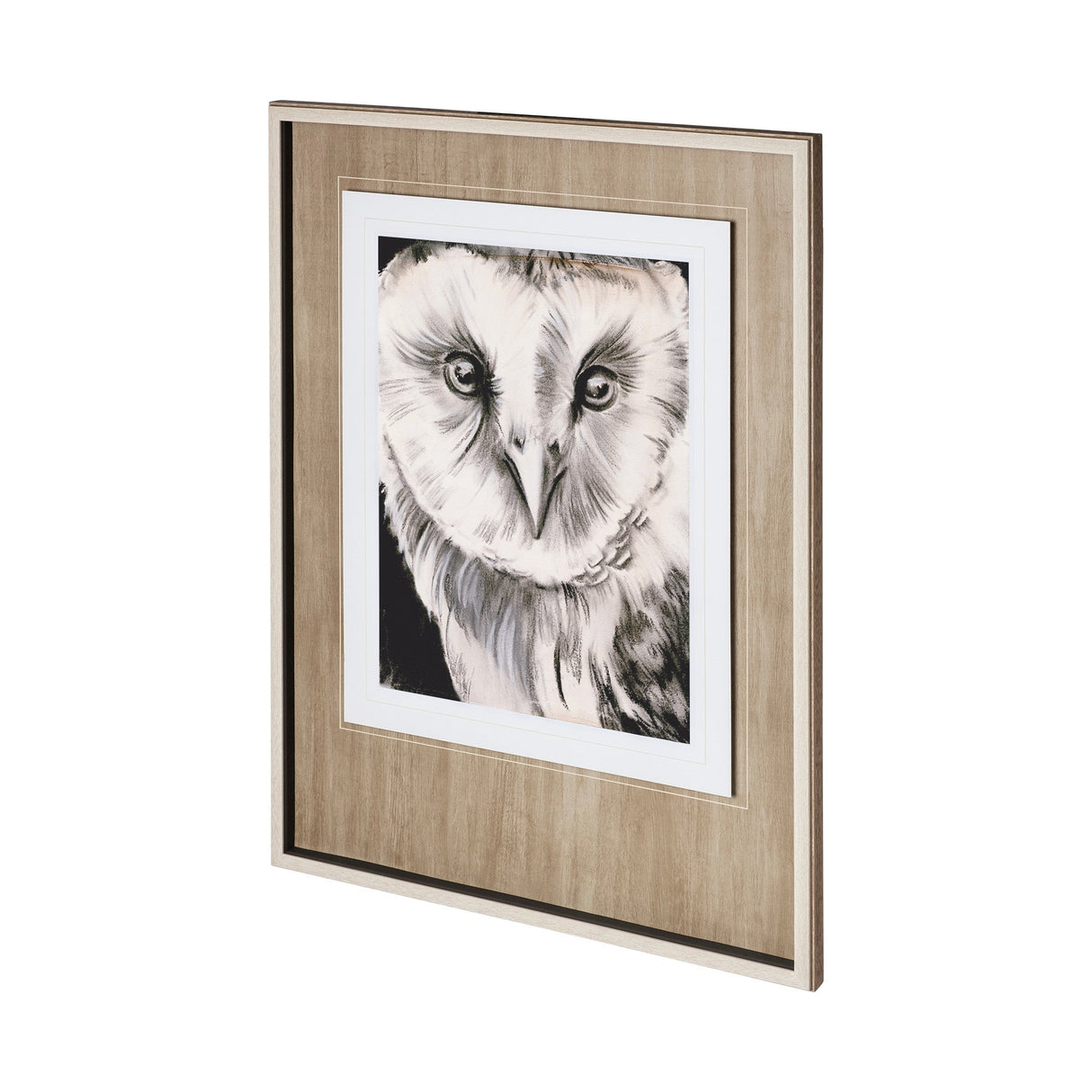 Charcoal Owl II by Jennifer Paxton Parker a Framed Art Print Matted under Glass by Mercana at Eve Furniture