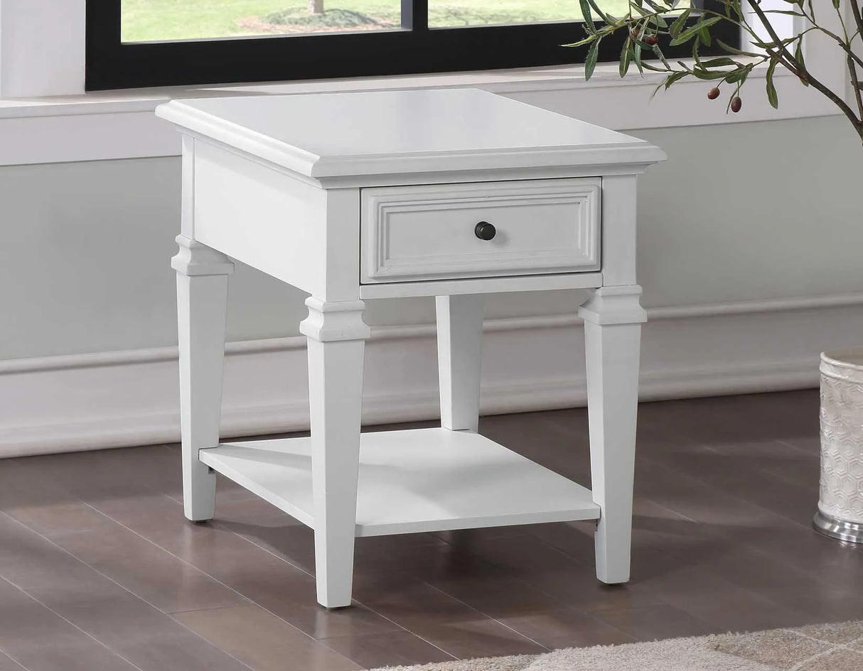 Charlestown Storage End Table by Steve Silver at Eve Furniture