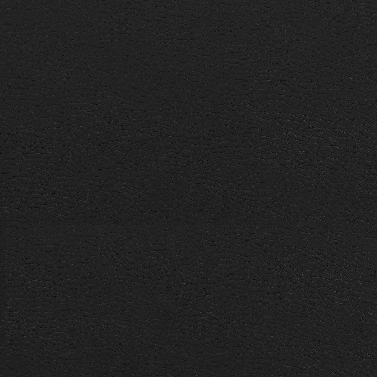 Chase Black/Chrome High Back Office Chair by Coaster at Eve Furniture