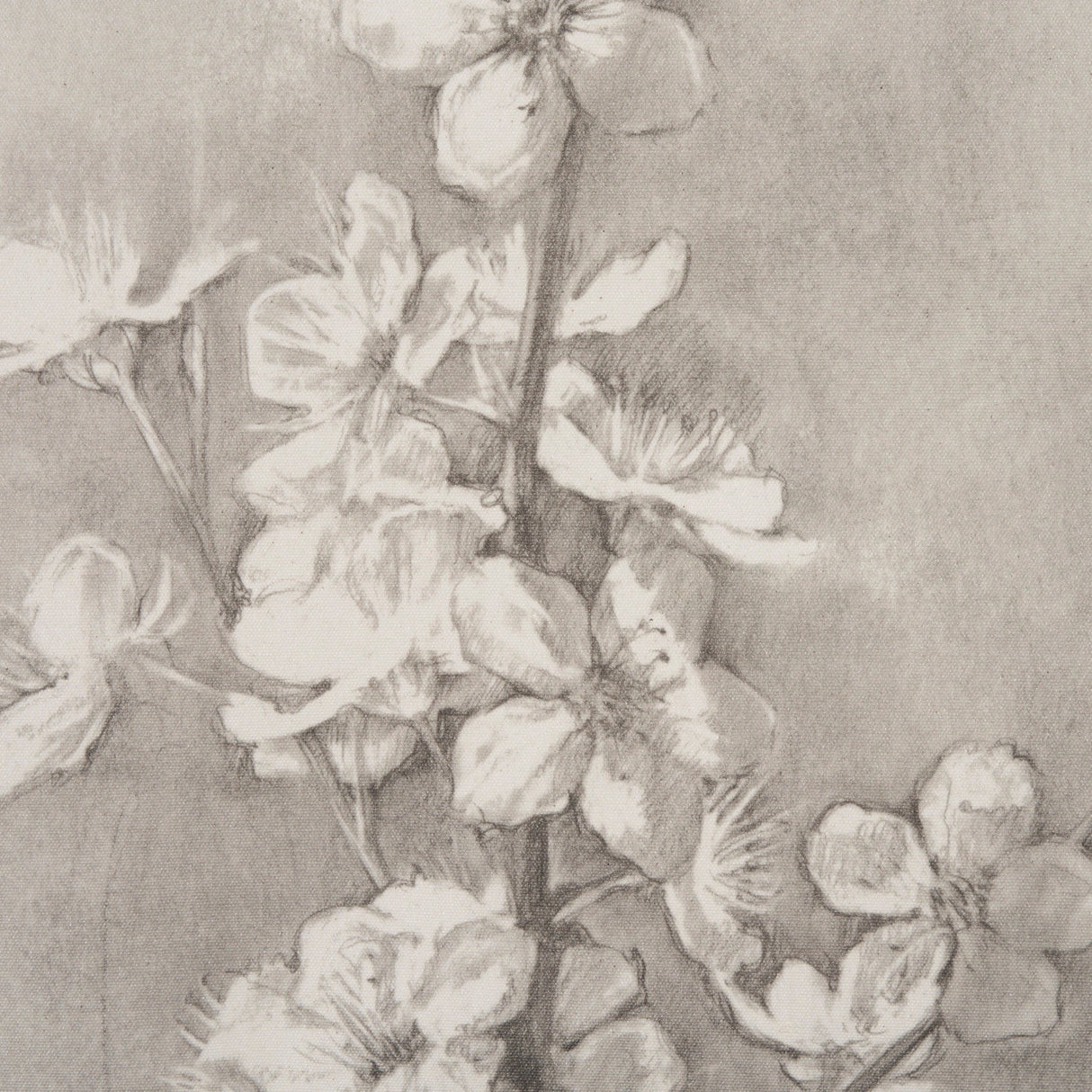 Cherry Blossom Sketch I by Mercana Studio a Hand Embellished Framed Art Print by Mercana at Eve Furniture