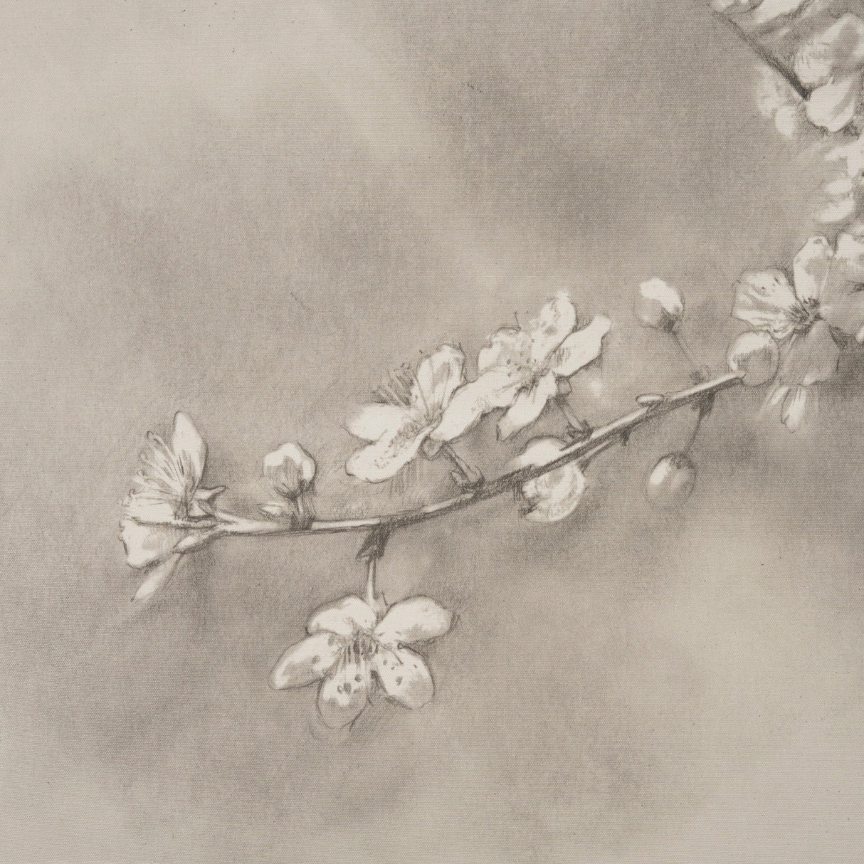 Cherry Blossom Sketch II by Mercana Studio a Hand Embellished Framed Art Print by Mercana at Eve Furniture