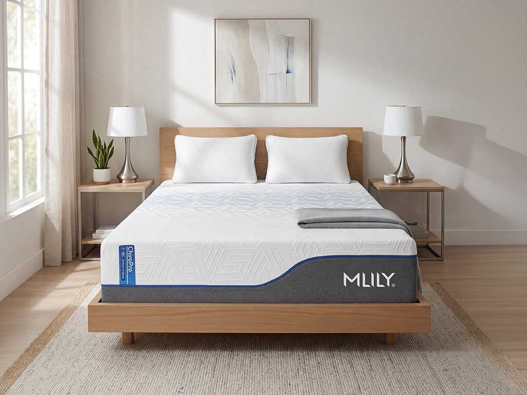 ChiroPro White 1.0 Firmer Tri-Zoned Queen Hybrid Mattress by Mlily at Eve Furniture