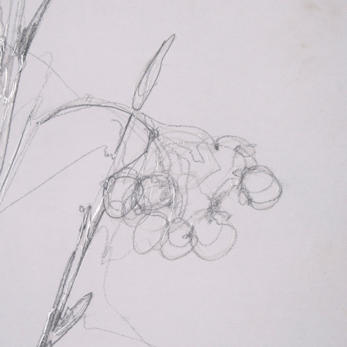 Chokecherry 1 by Mercana Studio a Hand Embellished Framed Art Print Matted under Glass by Mercana at Eve Furniture