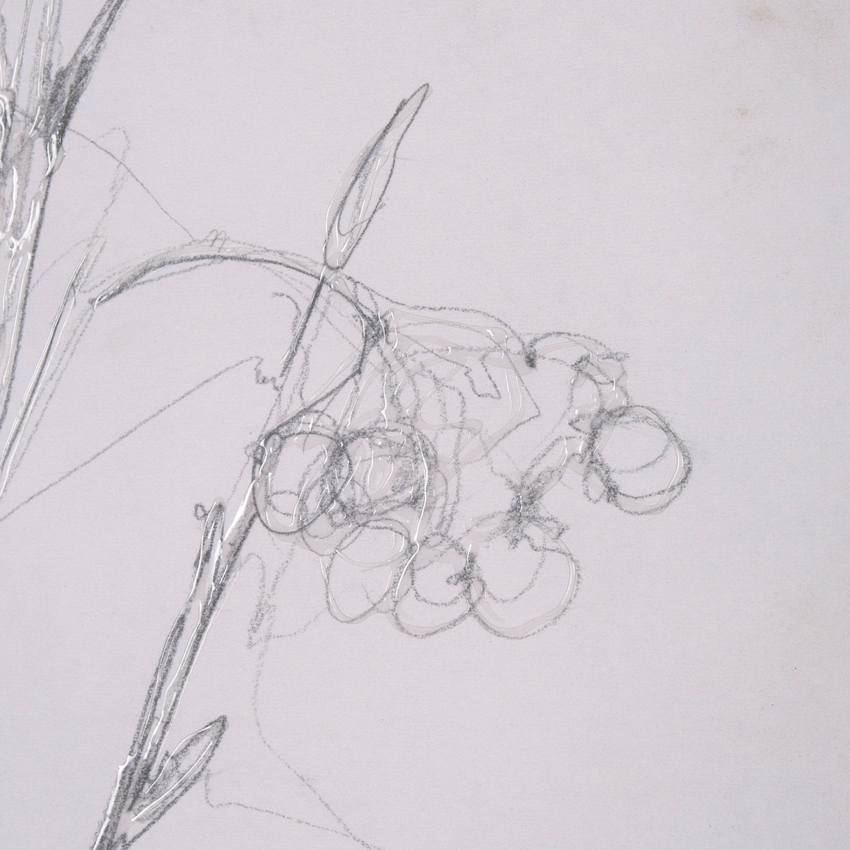 Chokecherry 3 by Mercana Studio a Hand Embellished Framed Art Print Matted under Glass by Mercana at Eve Furniture