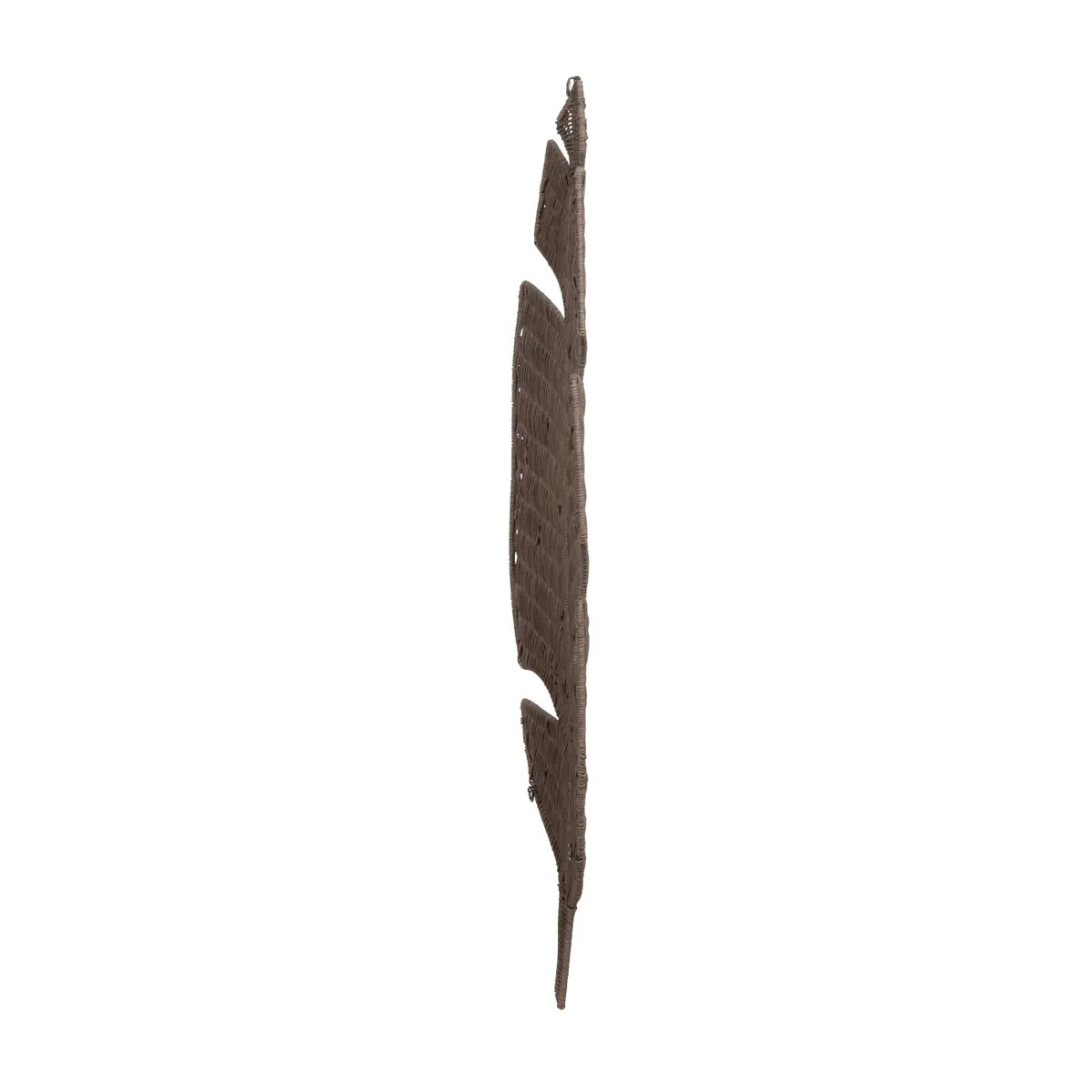 Coastal Palm Brown Wall Decor by Crestview at Eve Furniture