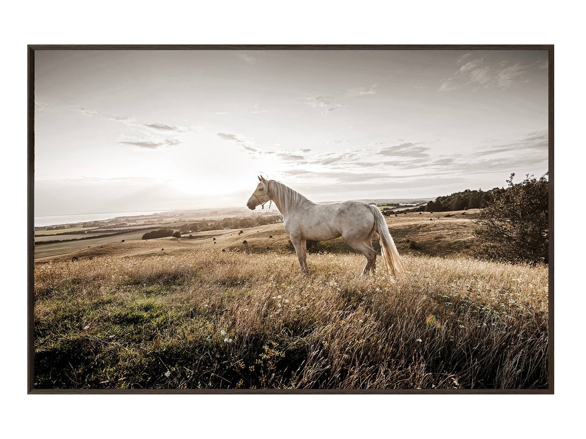 Colbert Brown/Natural Wall Art by Crestview at Eve Furniture