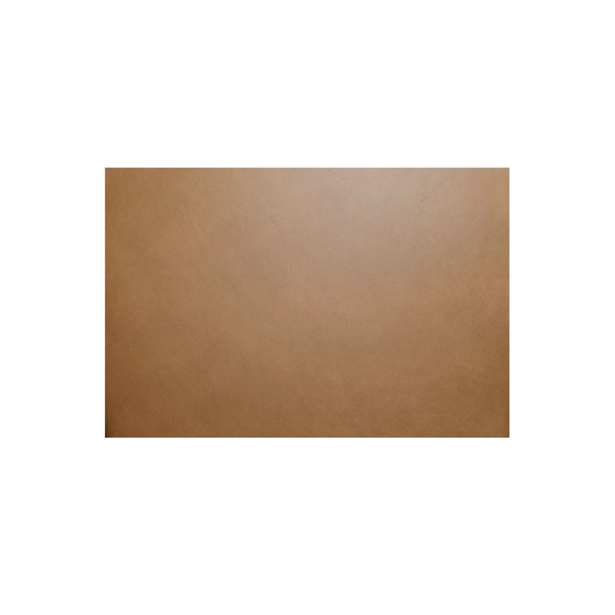 Costello Tan Bench by Moe's Home at Eve Furniture