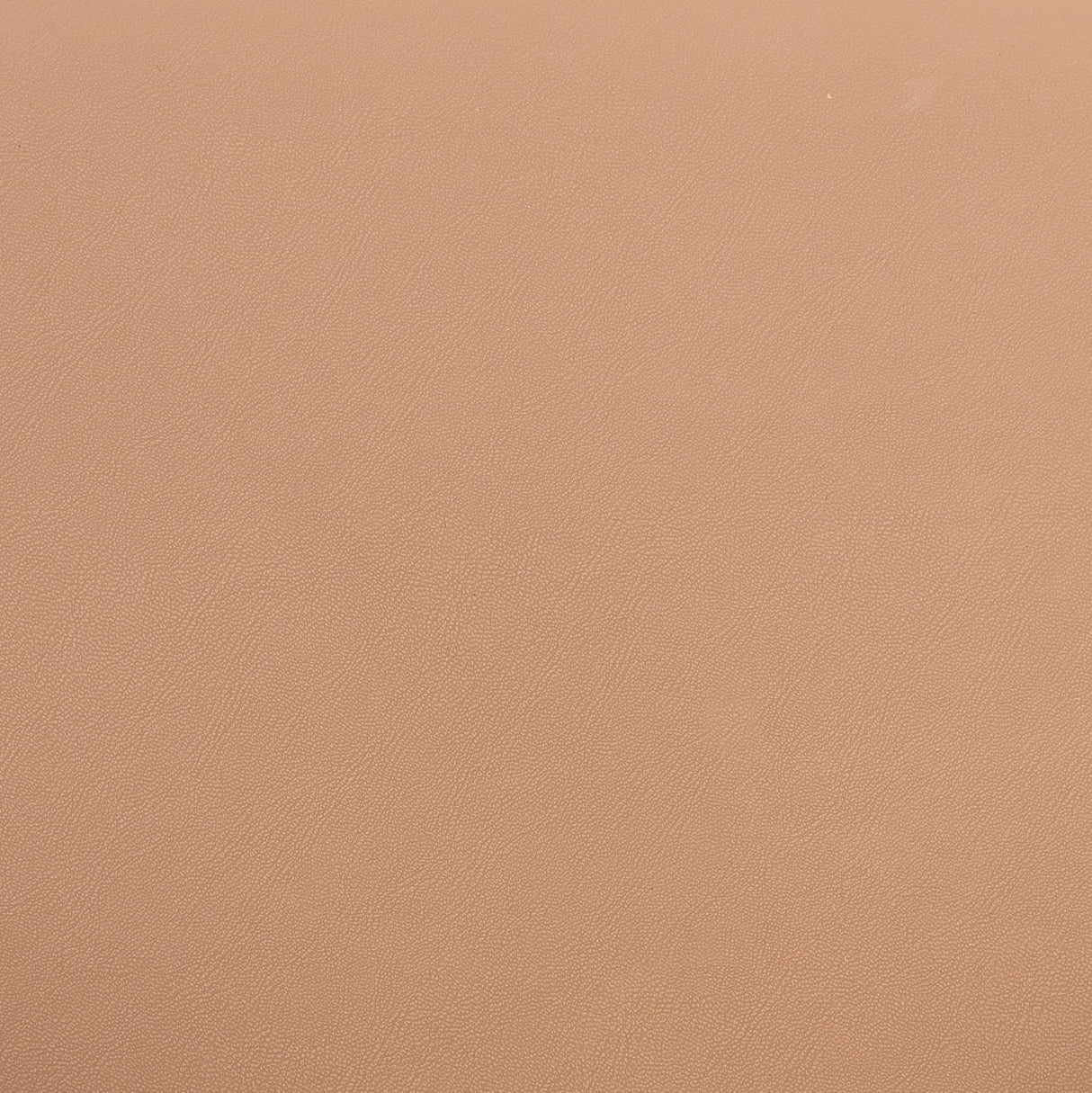 Cotsen Tan Accent Chair by Zuomod at Eve Furniture
