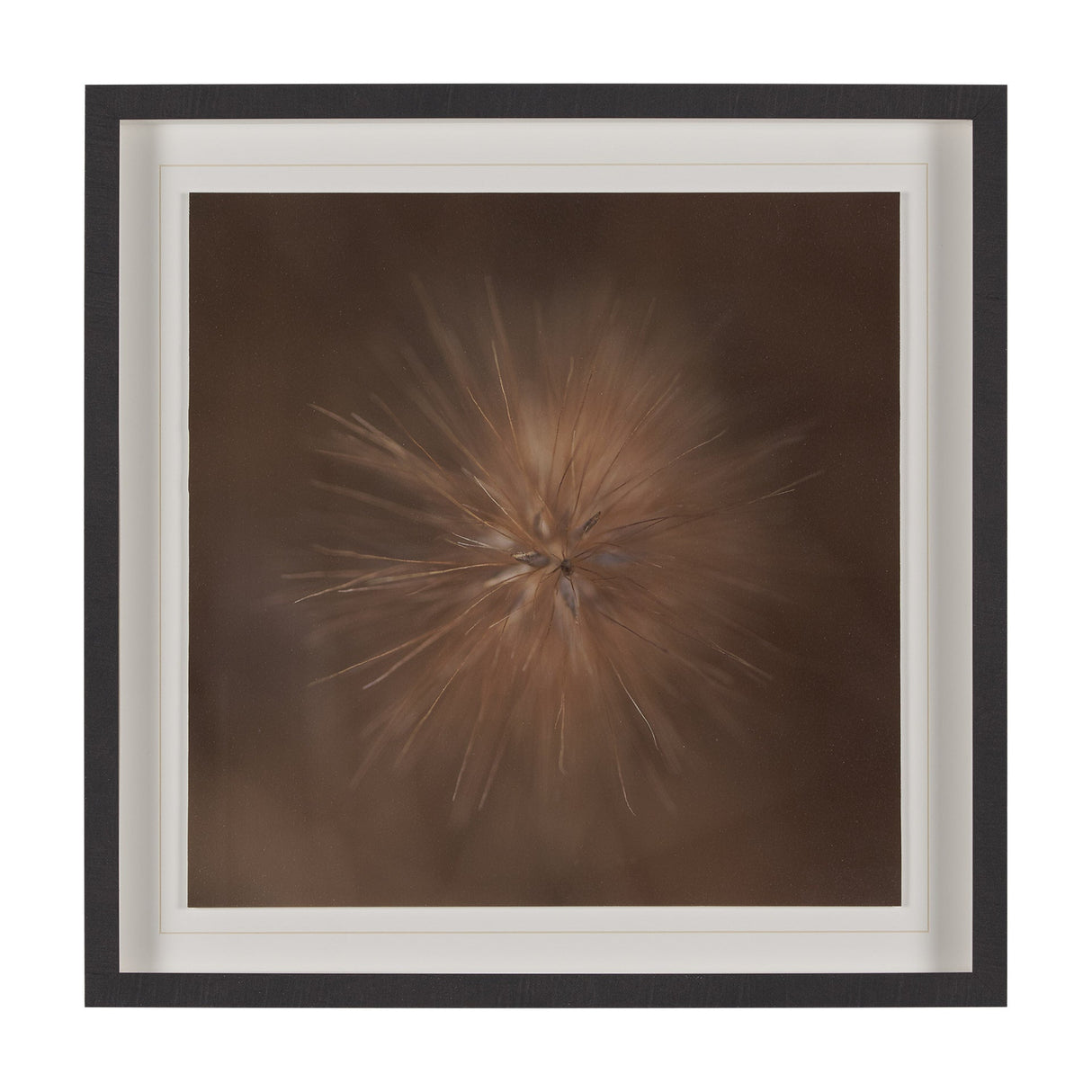 Curious by Stig Kalvelid a Hand Embellished Framed Photo Art Print Matted under Glass by Mercana at Eve Furniture