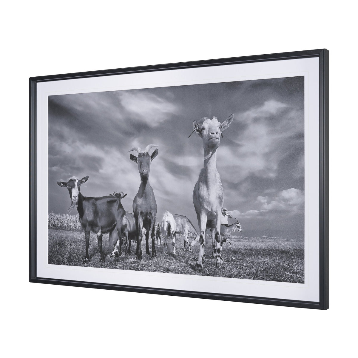 Curious Farm Goats by Novica Stankovic Hand-Embellished Textured Framed Artwork Matted under Glass by Mercana at Eve Furniture